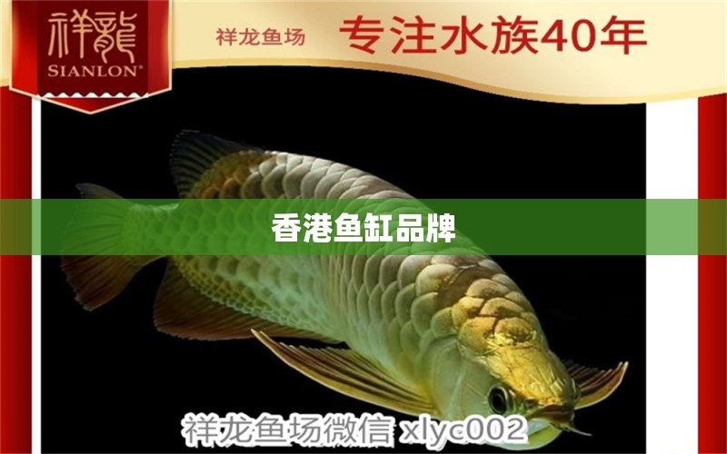 香港鱼缸品牌