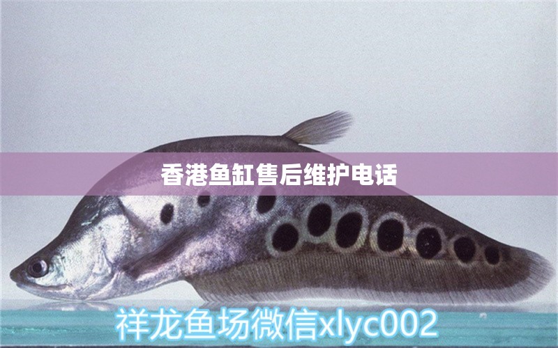 香港鱼缸售后维护电话 其他品牌鱼缸