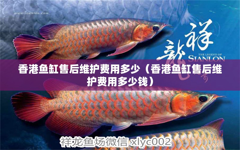 香港鱼缸售后维护费用多少（香港鱼缸售后维护费用多少钱） 其他品牌鱼缸