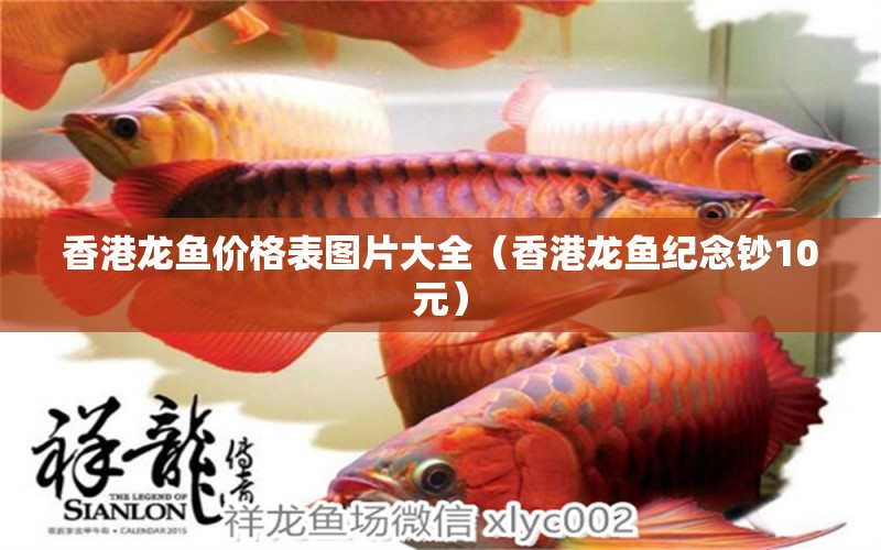 香港龙鱼价格表图片大全（香港龙鱼纪念钞10元）