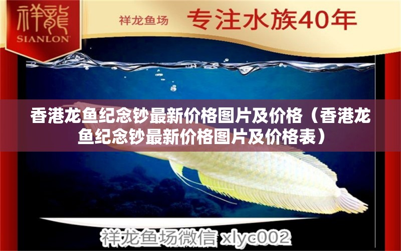 香港龙鱼纪念钞最新价格图片及价格（香港龙鱼纪念钞最新价格图片及价格表）