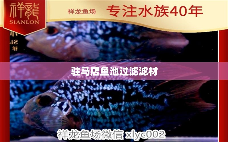 驻马店鱼池过滤滤材 广州水族器材滤材批发市场