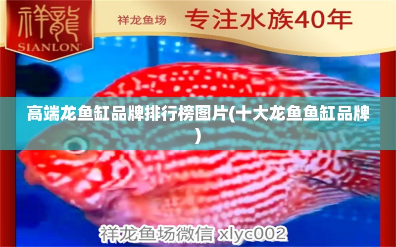 高端龙鱼缸品牌排行榜图片(十大龙鱼鱼缸品牌)