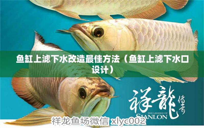 鱼缸上滤下水改造最佳方法（鱼缸上滤下水口设计） 广州观赏鱼批发市场