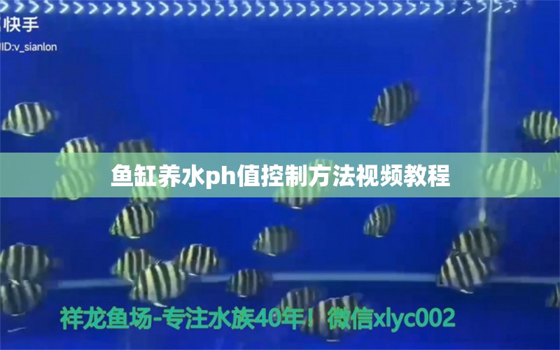 鱼缸养水ph值控制方法视频教程 祥龙鱼场