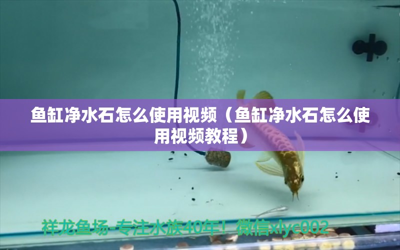 鱼缸净水石怎么使用视频（鱼缸净水石怎么使用视频教程） 其他品牌鱼缸
