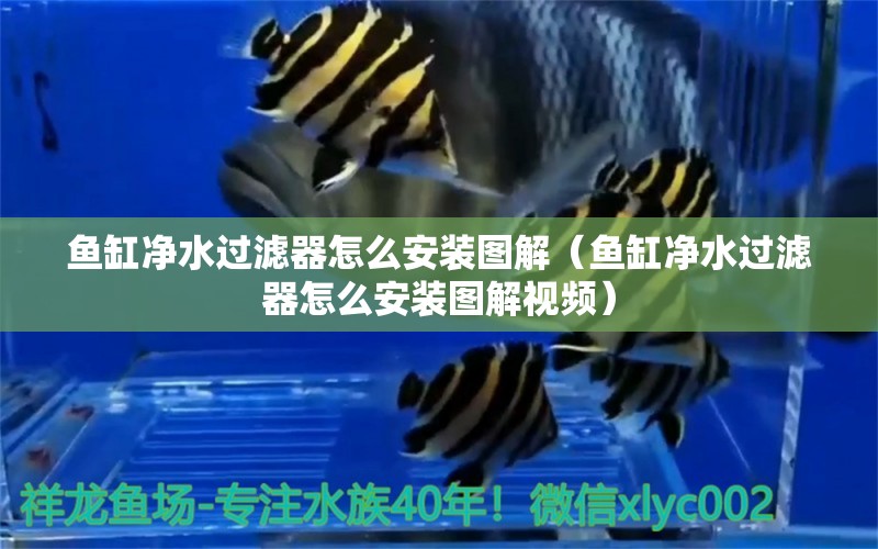 鱼缸净水过滤器怎么安装图解（鱼缸净水过滤器怎么安装图解视频） 观赏鱼市场（混养鱼）