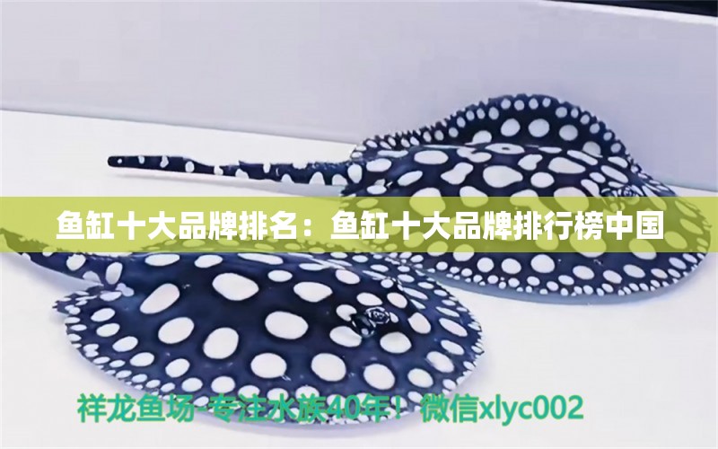 鱼缸十大品牌排名：鱼缸十大品牌排行榜中国 广州龙鱼批发市场