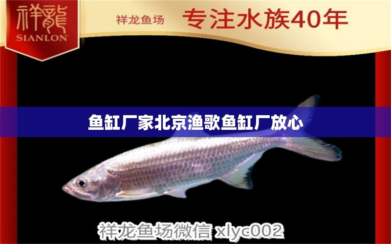 鱼缸厂家北京渔歌鱼缸厂放心 祥龙鱼场