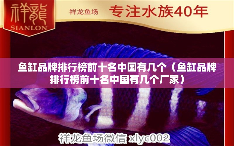 鱼缸品牌排行榜前十名中国有几个（鱼缸品牌排行榜前十名中国有几个厂家）
