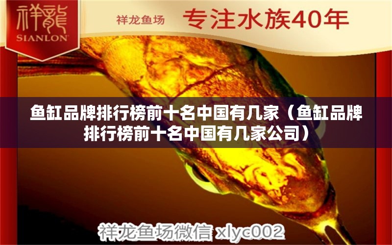 鱼缸品牌排行榜前十名中国有几家（鱼缸品牌排行榜前十名中国有几家公司） 其他品牌鱼缸