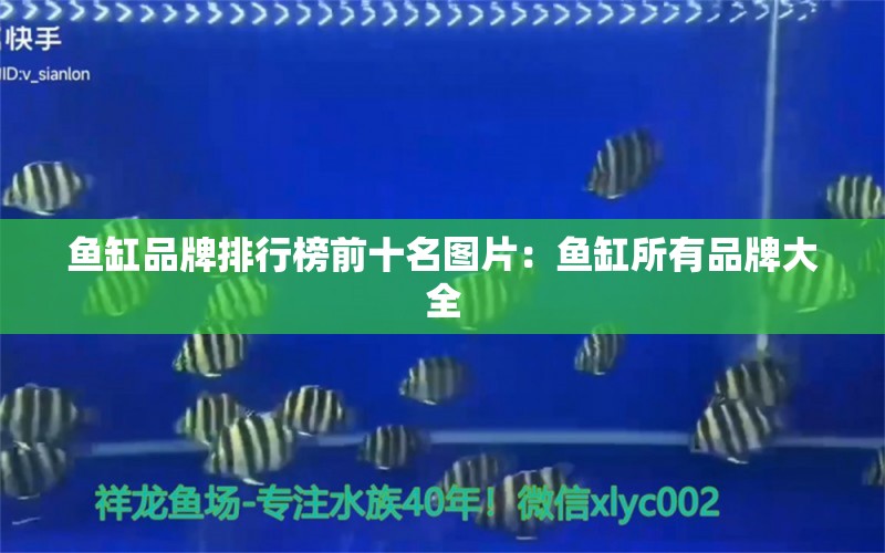 鱼缸品牌排行榜前十名图片：鱼缸所有品牌大全 广州龙鱼批发市场