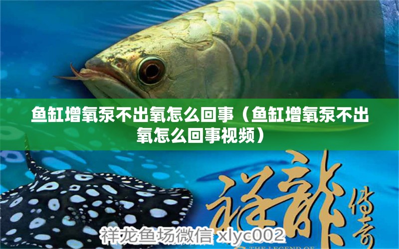 鱼缸增氧泵不出氧怎么回事（鱼缸增氧泵不出氧怎么回事视频） 广州水族批发市场