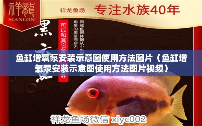 鱼缸增氧泵安装示意图使用方法图片（鱼缸增氧泵安装示意图使用方法图片视频） 祥禾Super Red红龙鱼