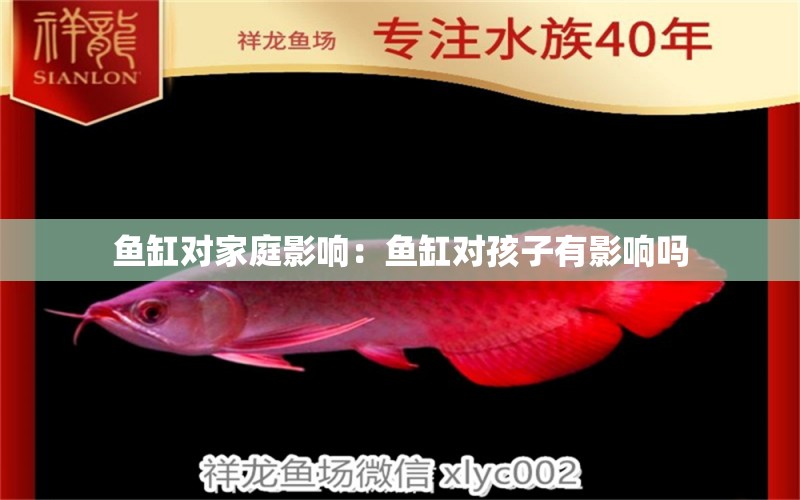 鱼缸对家庭影响：鱼缸对孩子有影响吗 广州水族批发市场