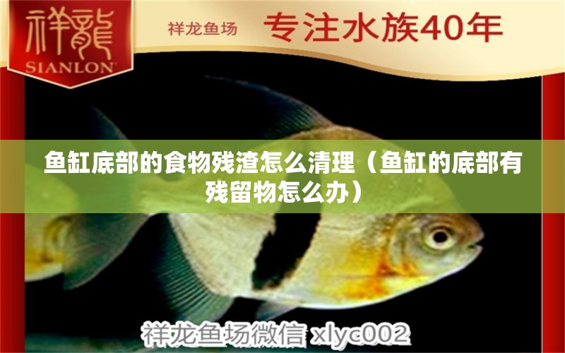 鱼缸底部的食物残渣怎么清理（鱼缸的底部有残留物怎么办） 广州观赏鱼批发市场