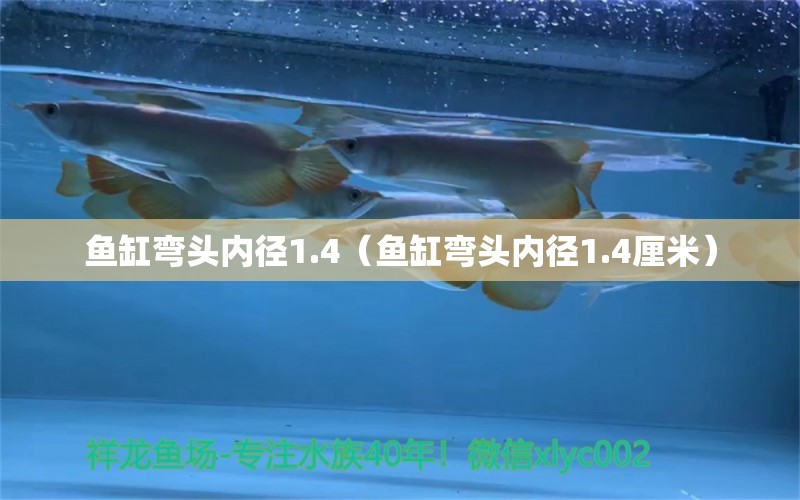鱼缸弯头内径1.4（鱼缸弯头内径1.4厘米）