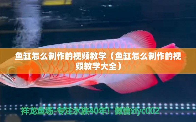 鱼缸怎么制作的视频教学（鱼缸怎么制作的视频教学大全） 祥龙水族医院
