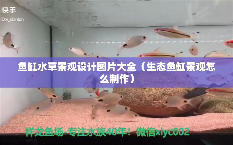 鱼缸水草景观设计图片大全（生态鱼缸景观怎么制作）