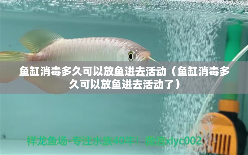 鱼缸消毒多久可以放鱼进去活动（鱼缸消毒多久可以放鱼进去活动了）