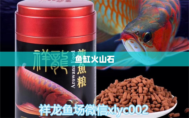 鱼缸火山石 广州水族器材滤材批发市场