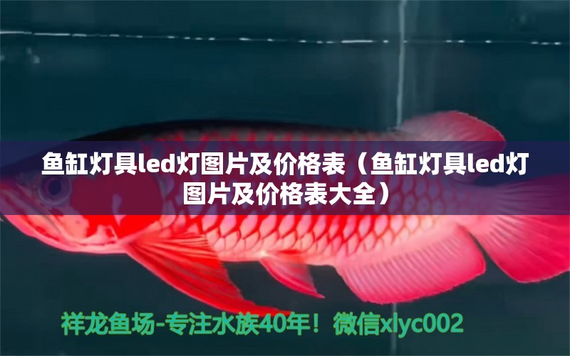 鱼缸灯具led灯图片及价格表（鱼缸灯具led灯图片及价格表大全） 观赏鱼市场（混养鱼）