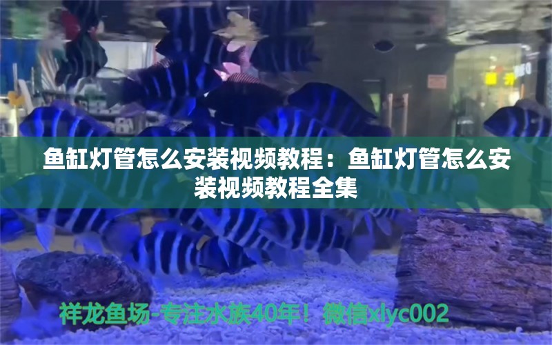 鱼缸灯管怎么安装视频教程：鱼缸灯管怎么安装视频教程全集
