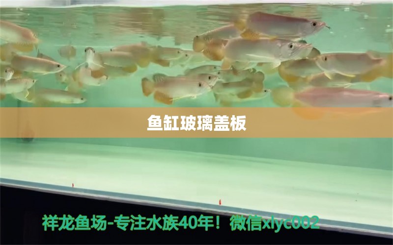 鱼缸玻璃盖板