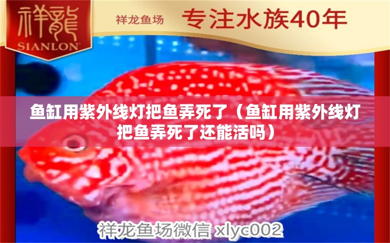 鱼缸用紫外线灯把鱼弄死了（鱼缸用紫外线灯把鱼弄死了还能活吗） 其他品牌鱼缸