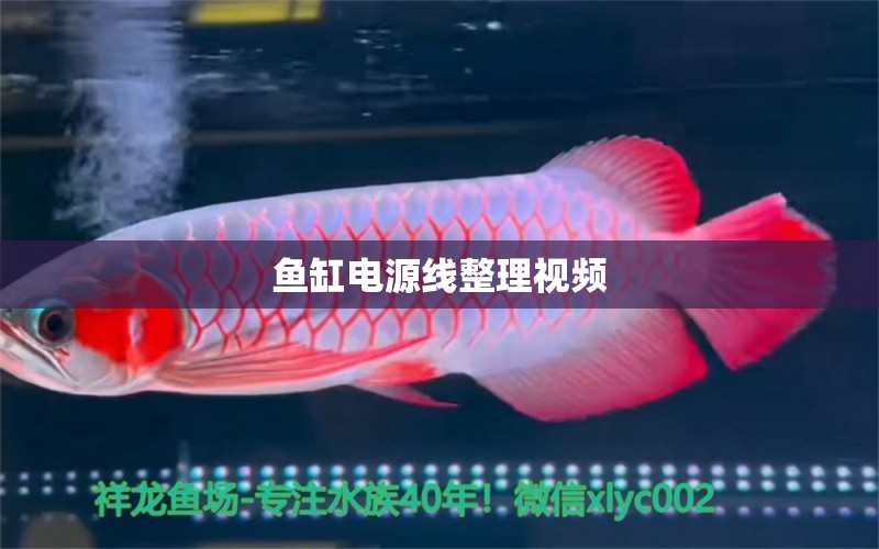 鱼缸电源线整理视频