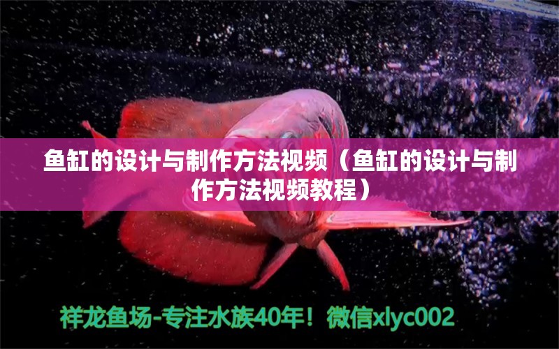 鱼缸的设计与制作方法视频（鱼缸的设计与制作方法视频教程） 量子养鱼技术