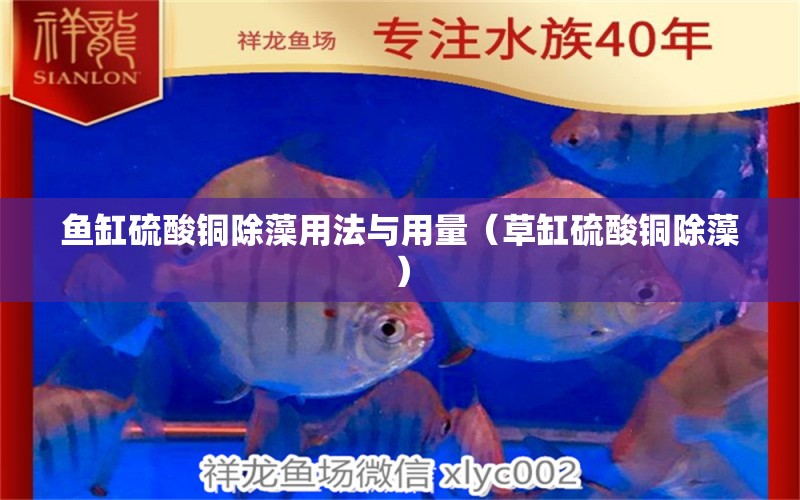 鱼缸硫酸铜除藻用法与用量（草缸硫酸铜除藻） 龙鱼百科
