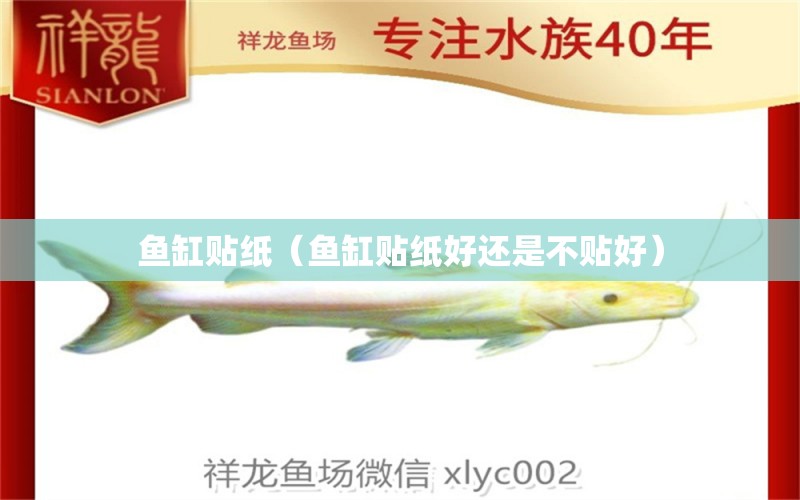 鱼缸贴纸（鱼缸贴纸好还是不贴好） 广州观赏鱼批发市场