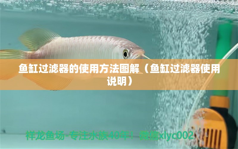 鱼缸过滤器的使用方法图解（鱼缸过滤器使用说明） 广州观赏鱼批发市场