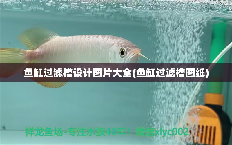 鱼缸过滤槽设计图片大全(鱼缸过滤槽图纸) 广州水族器材滤材批发市场