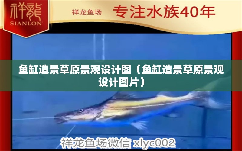 鱼缸造景草原景观设计图（鱼缸造景草原景观设计图片） 广州景观设计