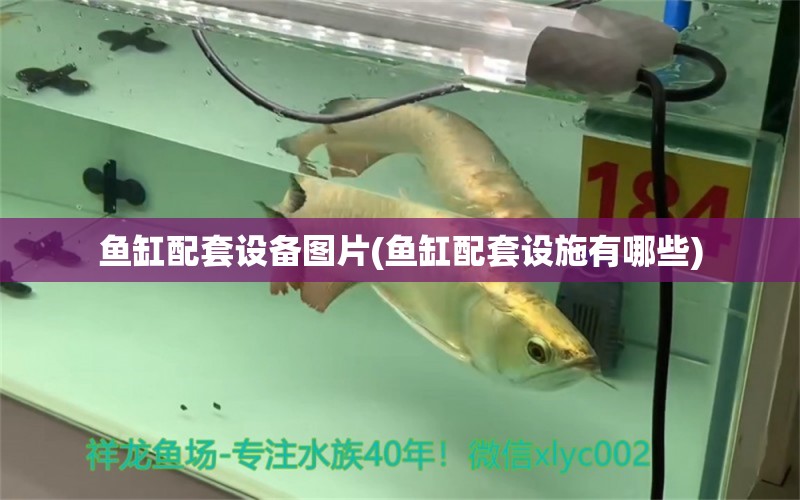 鱼缸配套设备图片(鱼缸配套设施有哪些) 银古鱼苗
