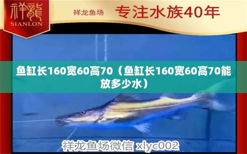 鱼缸长160宽60高70（鱼缸长160宽60高70能放多少水）