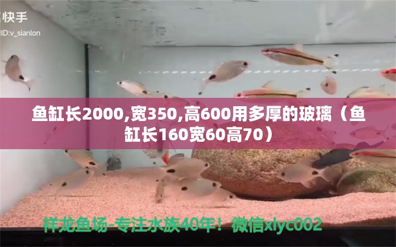 鱼缸长2000,宽350,高600用多厚的玻璃（鱼缸长160宽60高70） 观赏鱼批发