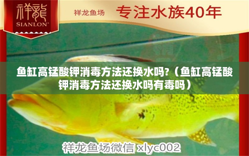 鱼缸高锰酸钾消毒方法还换水吗?（鱼缸高锰酸钾消毒方法还换水吗有毒吗）