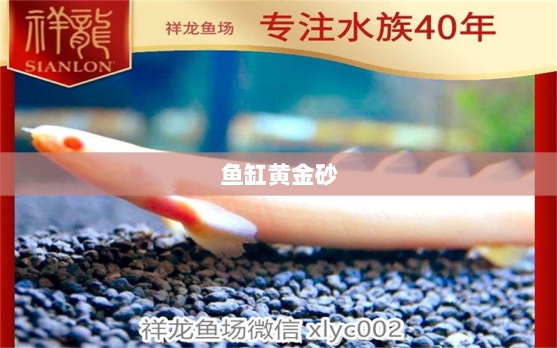 鱼缸黄金砂 广州水族器材滤材批发市场