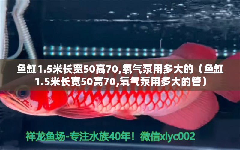 鱼缸1.5米长宽50高70,氧气泵用多大的（鱼缸1.5米长宽50高70,氧气泵用多大的管） 鱼缸