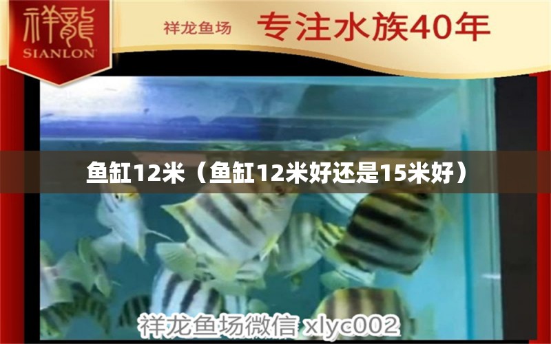 鱼缸12米（鱼缸12米好还是15米好）