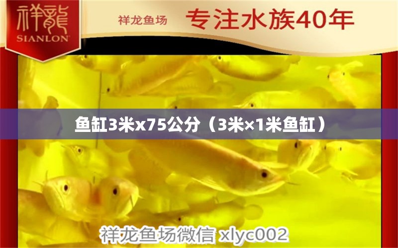 鱼缸3米x75公分（3米×1米鱼缸）
