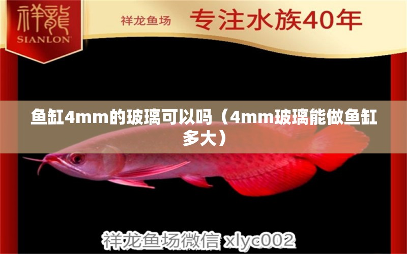 鱼缸4mm的玻璃可以吗（4mm玻璃能做鱼缸多大） 鱼缸