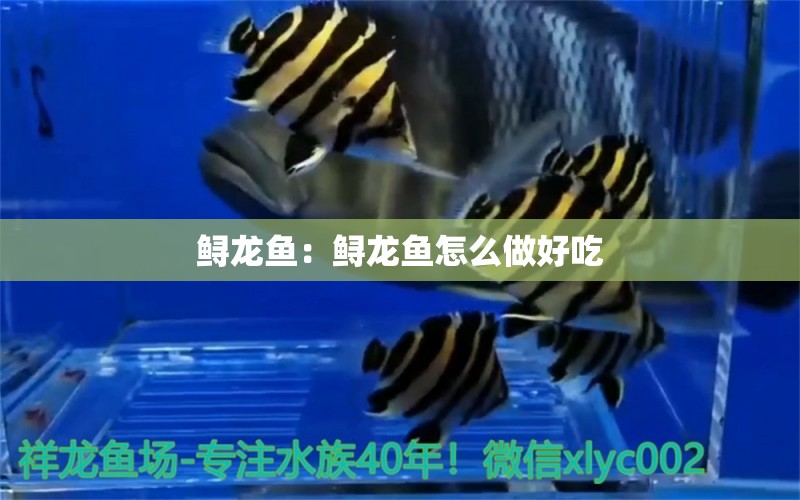 鲟龙鱼：鲟龙鱼怎么做好吃 白子黑帝王魟鱼