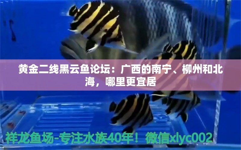 黄金二线黑云鱼论坛：广西的南宁、柳州和北海，哪里更宜居 黑云鱼