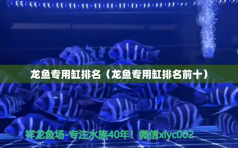 龙鱼专用缸排名（龙鱼专用缸排名前十） 广州龙鱼批发市场