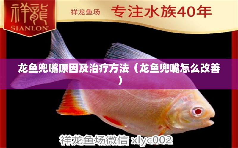 龙鱼兜嘴原因及治疗方法（龙鱼兜嘴怎么改善） 广州龙鱼批发市场