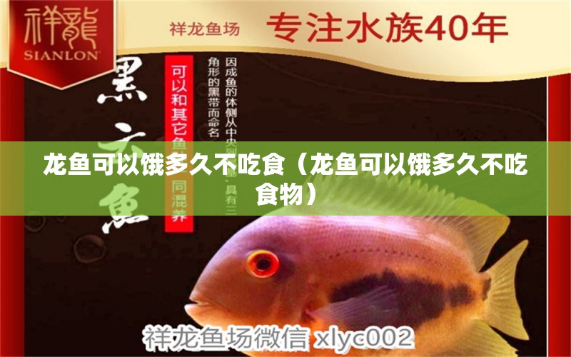 龙鱼可以饿多久不吃食（龙鱼可以饿多久不吃食物） 广州龙鱼批发市场